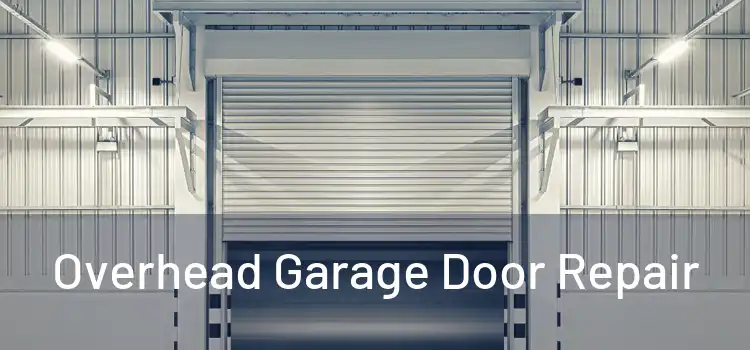Overhead Garage Door Repair